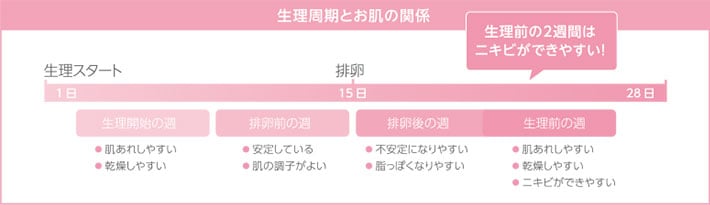 女性のポイント図