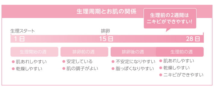 生理周期とお肌の関係