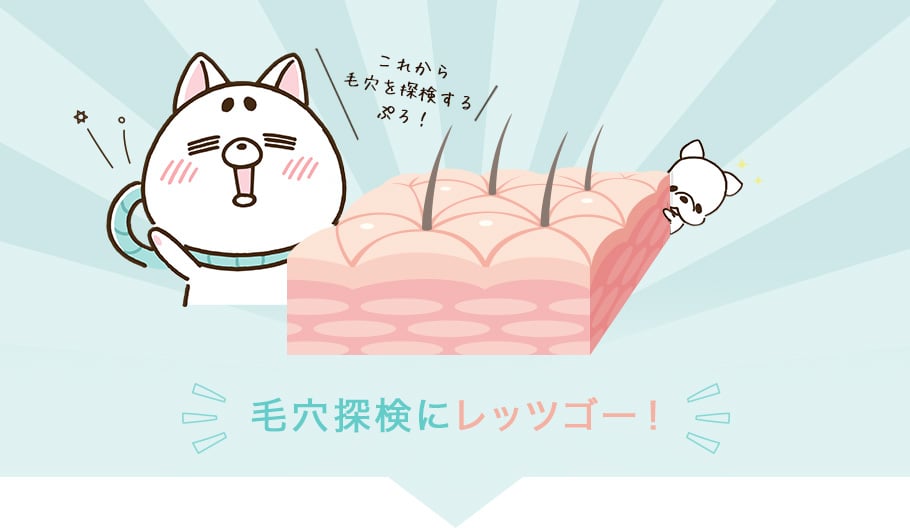毛穴探検にレッツゴー！