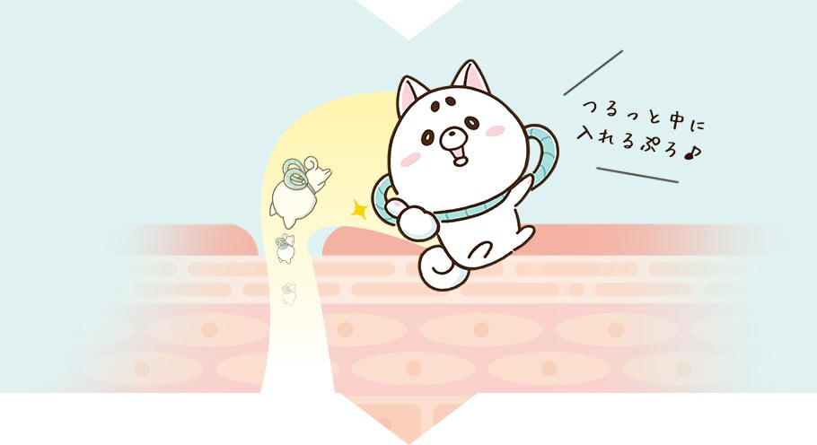 つるっと中に入れるぷろ♪