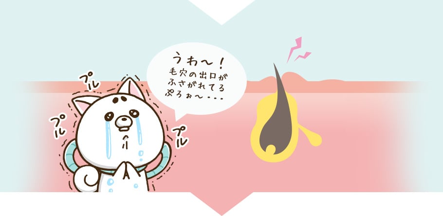 うわぁー、毛穴の出口がふさがれてるぷろ