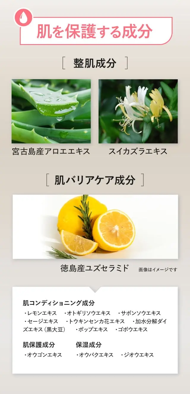 ����ی삷�鐬��