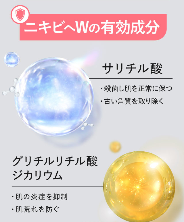 �v���A�N�e�B�u�Ŏx������Ă���̗��R