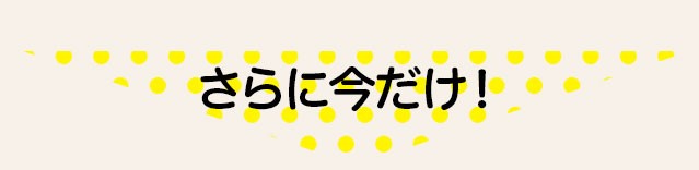 {3Xebv30 Iׂ閳v[g 20NLOʉi 13,400~ 62%OFF 4,9
          80~